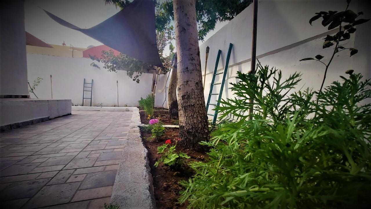 Mango Haus Hostel Άκαμπα Εξωτερικό φωτογραφία