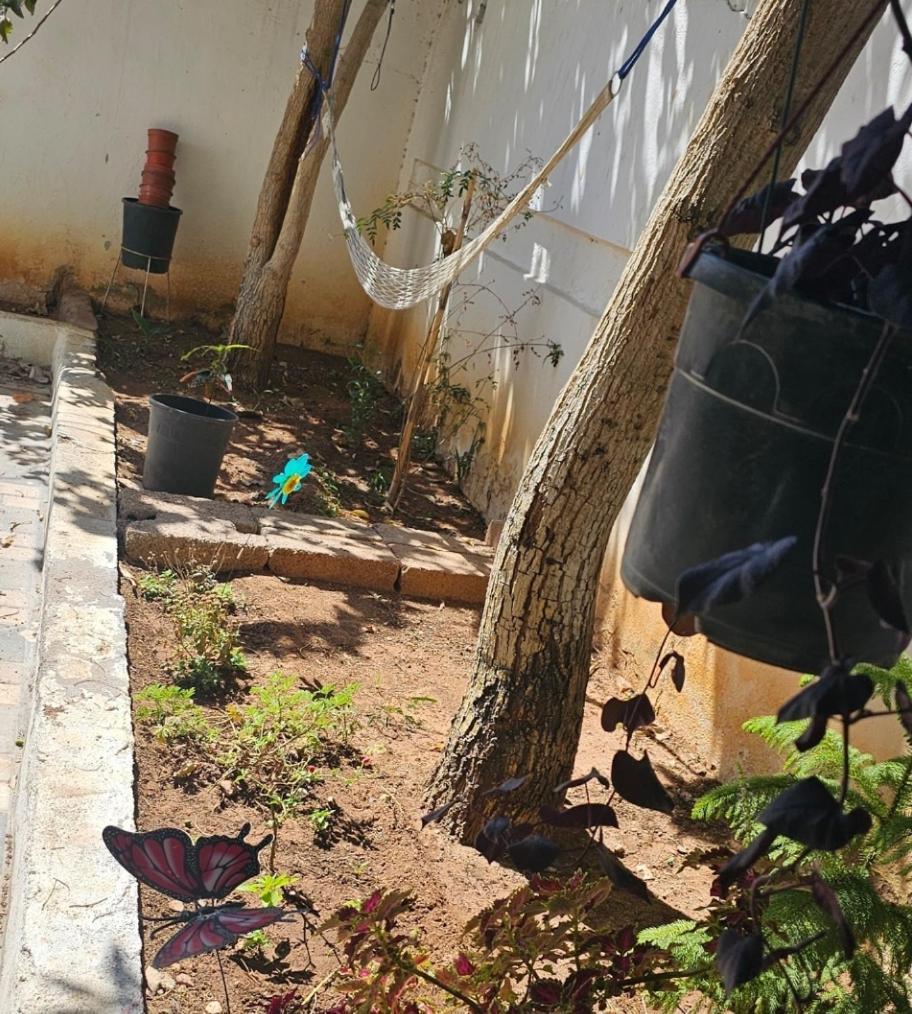 Mango Haus Hostel Άκαμπα Εξωτερικό φωτογραφία